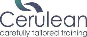Cerulean Ltd logo