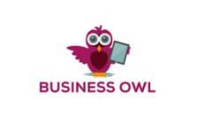 Business Owl logo